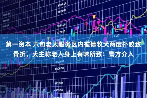 第一资本 六旬老太服务区内被德牧犬两度扑咬致骨折，犬主称老人身上有味所致！警方介入