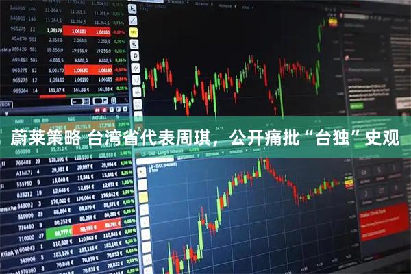 蔚莱策略 台湾省代表周琪，公开痛批“台独”史观
